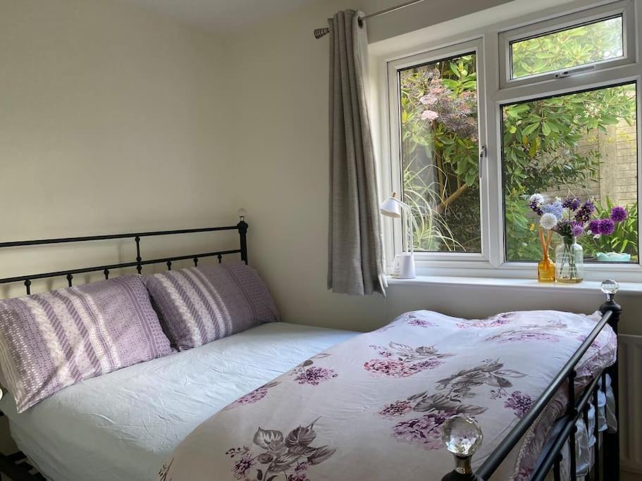 Cosy Apartment With Private Access And Kitchenette In Guildford (Adults Only) Worplesdon Kültér fotó
